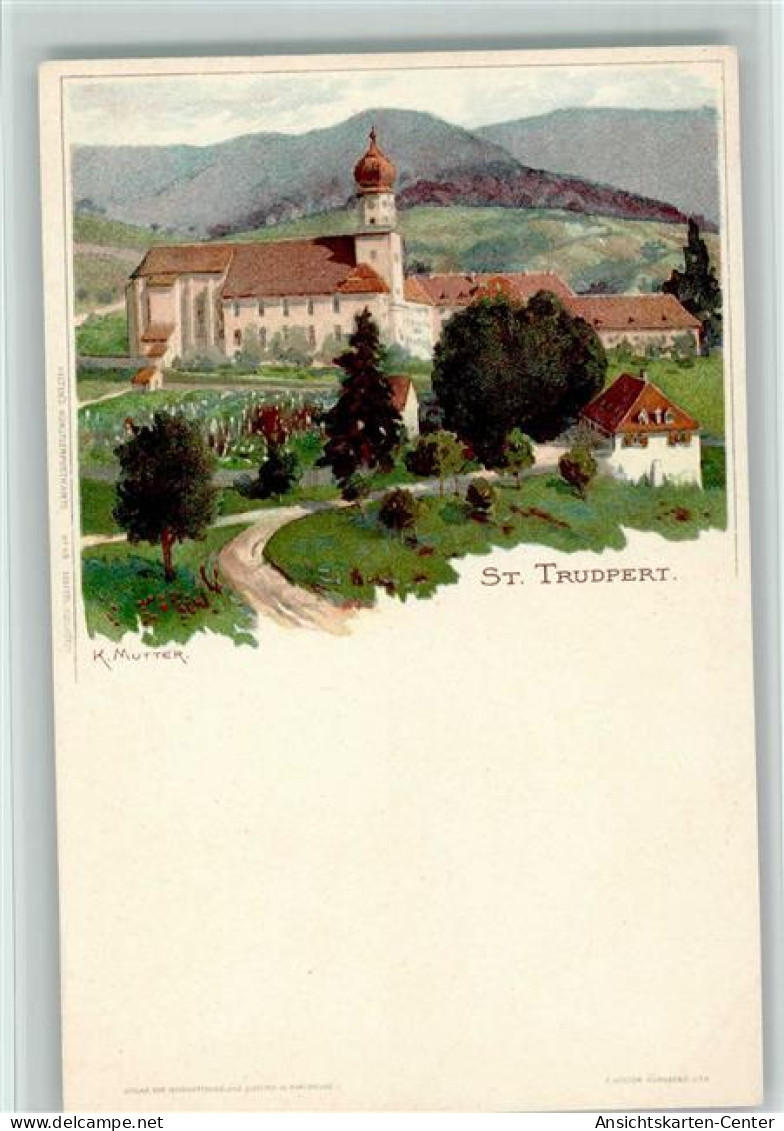 13033288 - Muenstertal , Schwarzwald