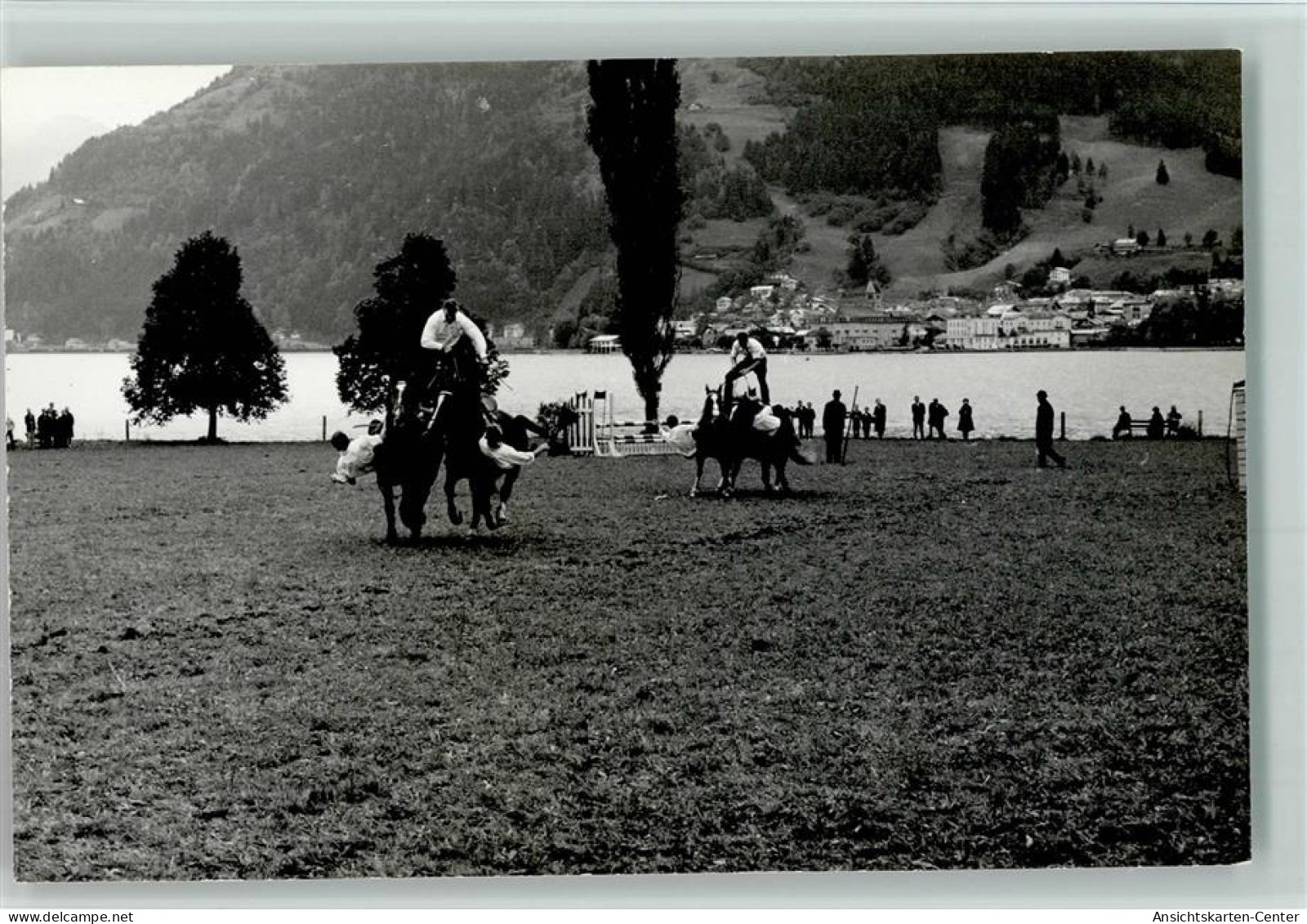 13036202 - Seekirchen am Wallersee