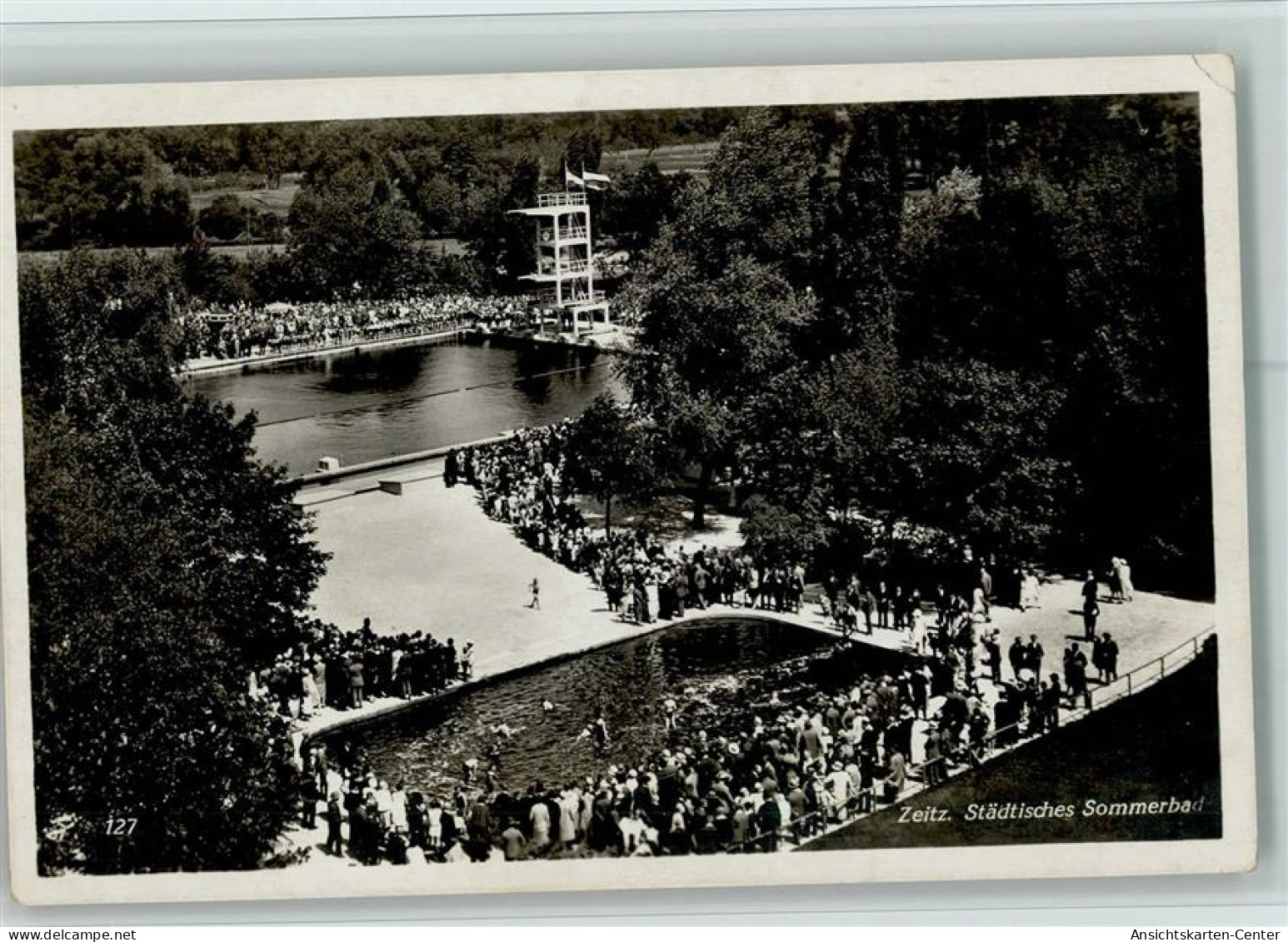 13047354 - Zeitz , Elster