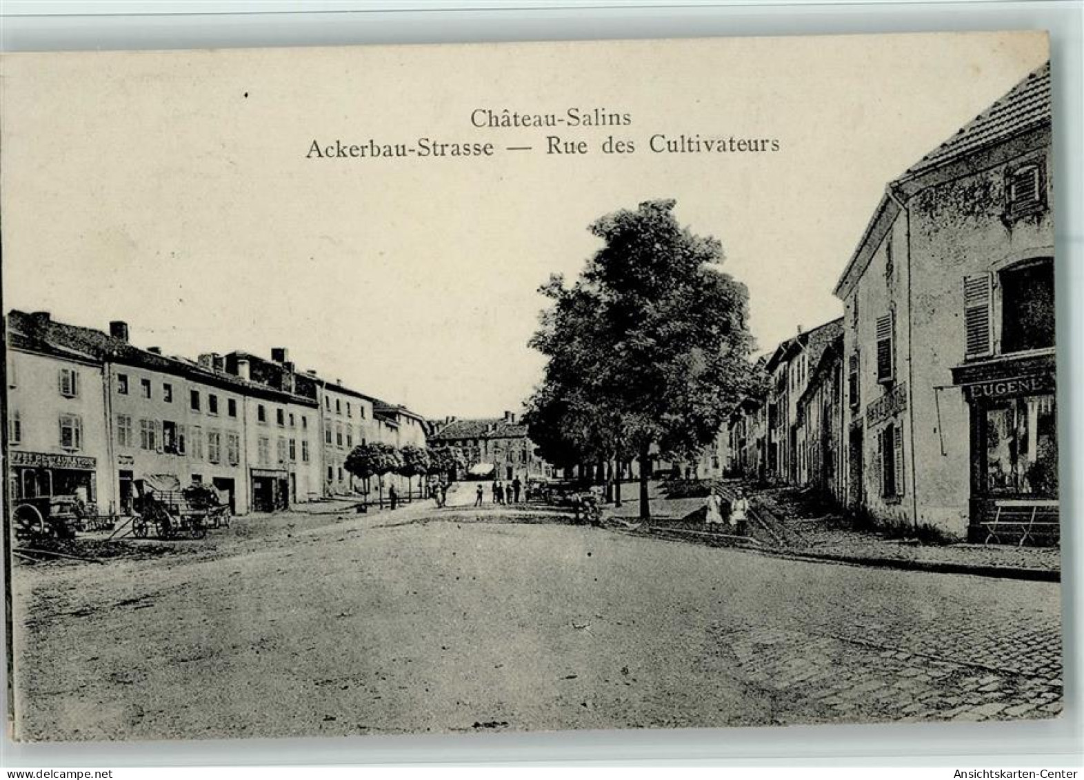 13056376 - Chateau-Salins