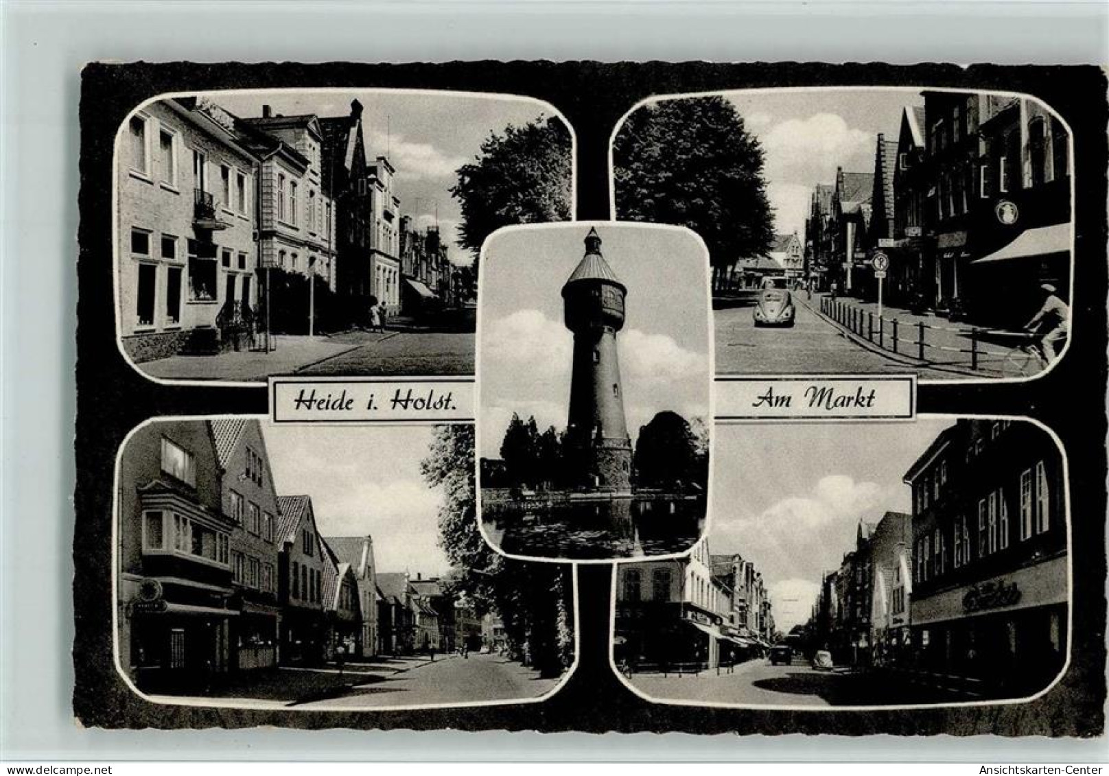 13067381 - Heide , Holst