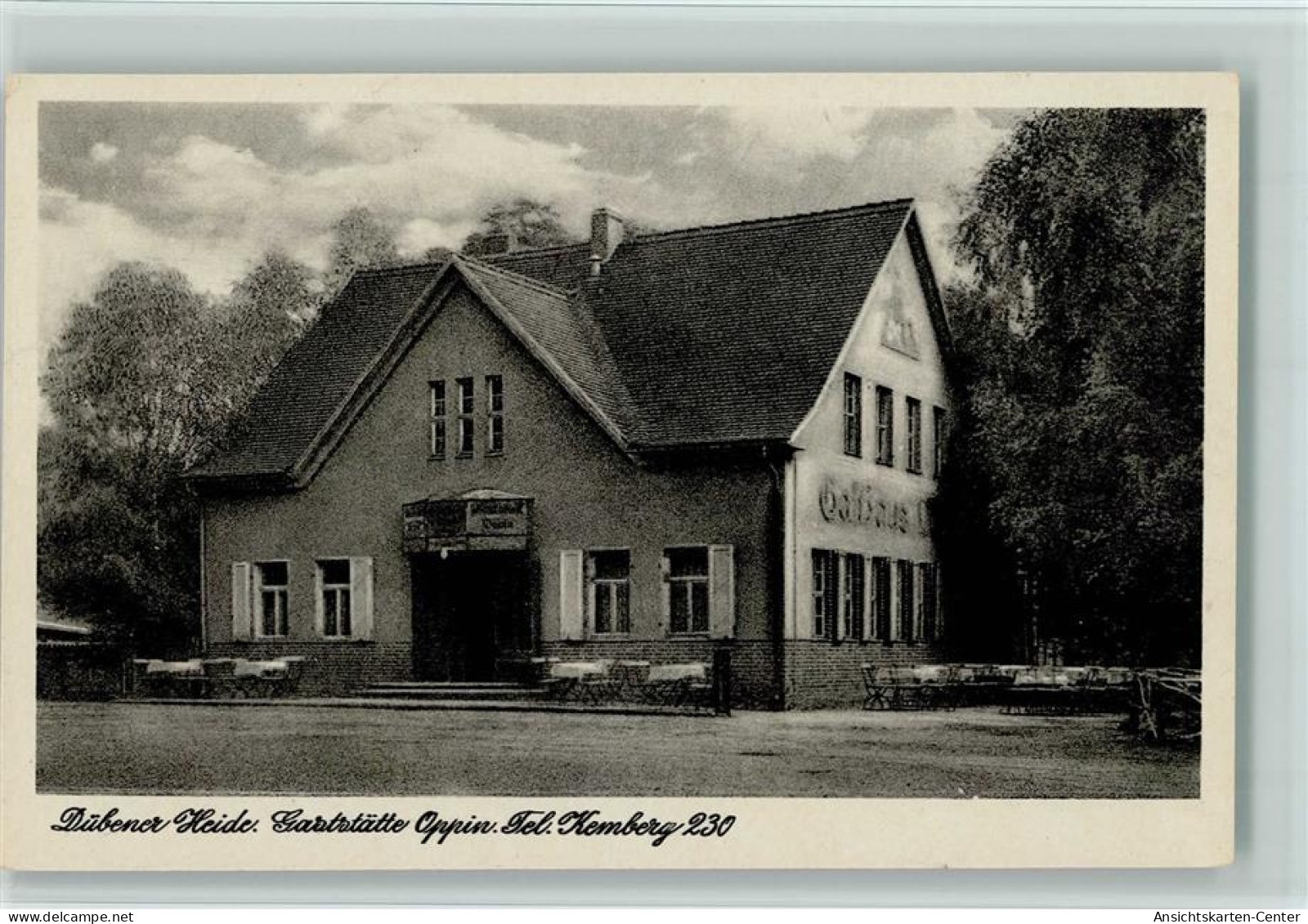 13072175 - Bad Dueben