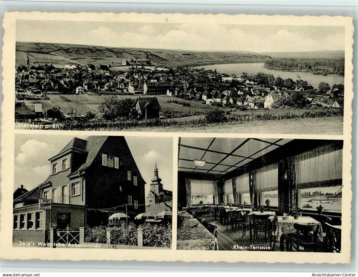 13074565 - Nierstein