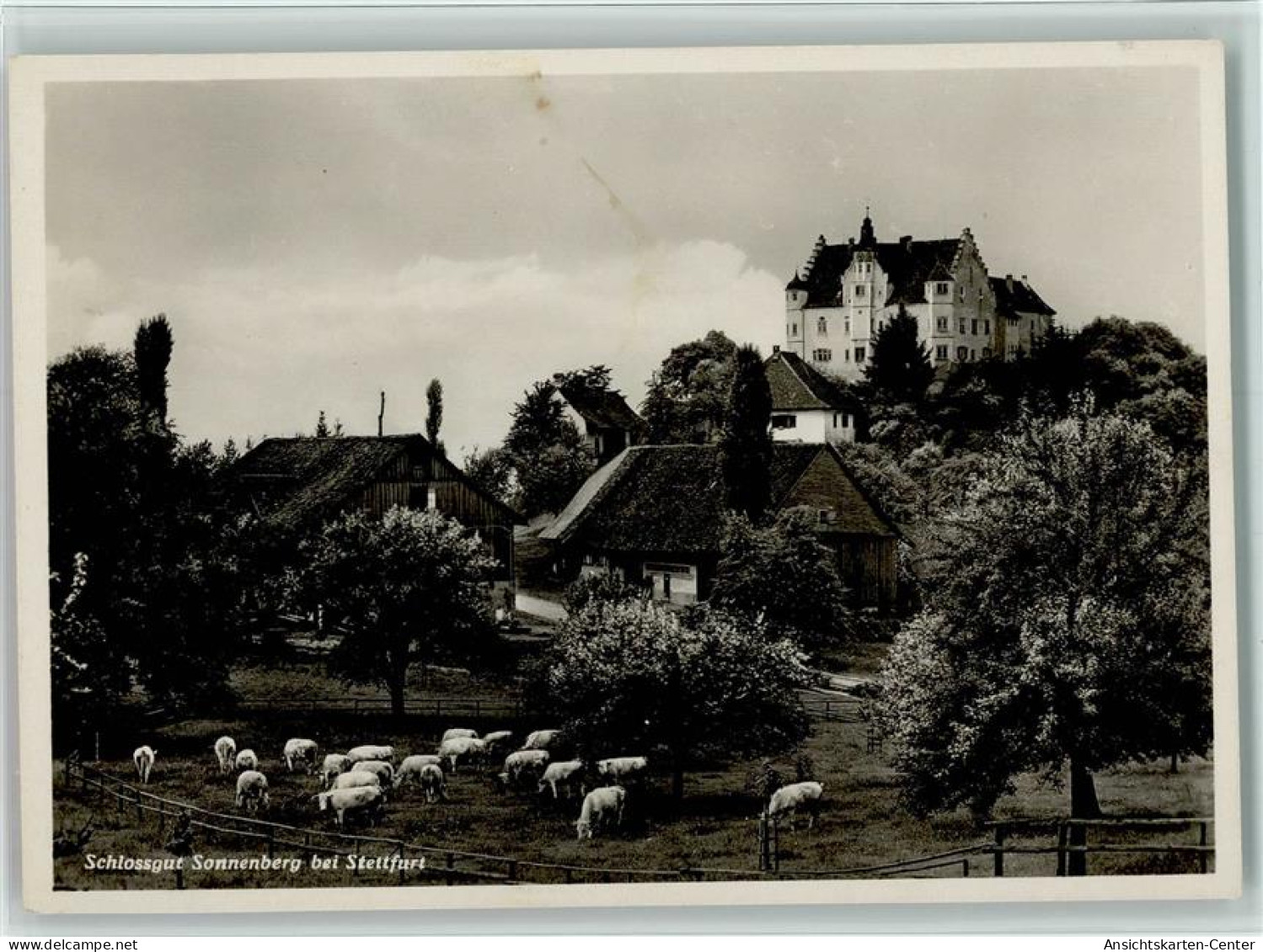 13094511 - Stettfurt