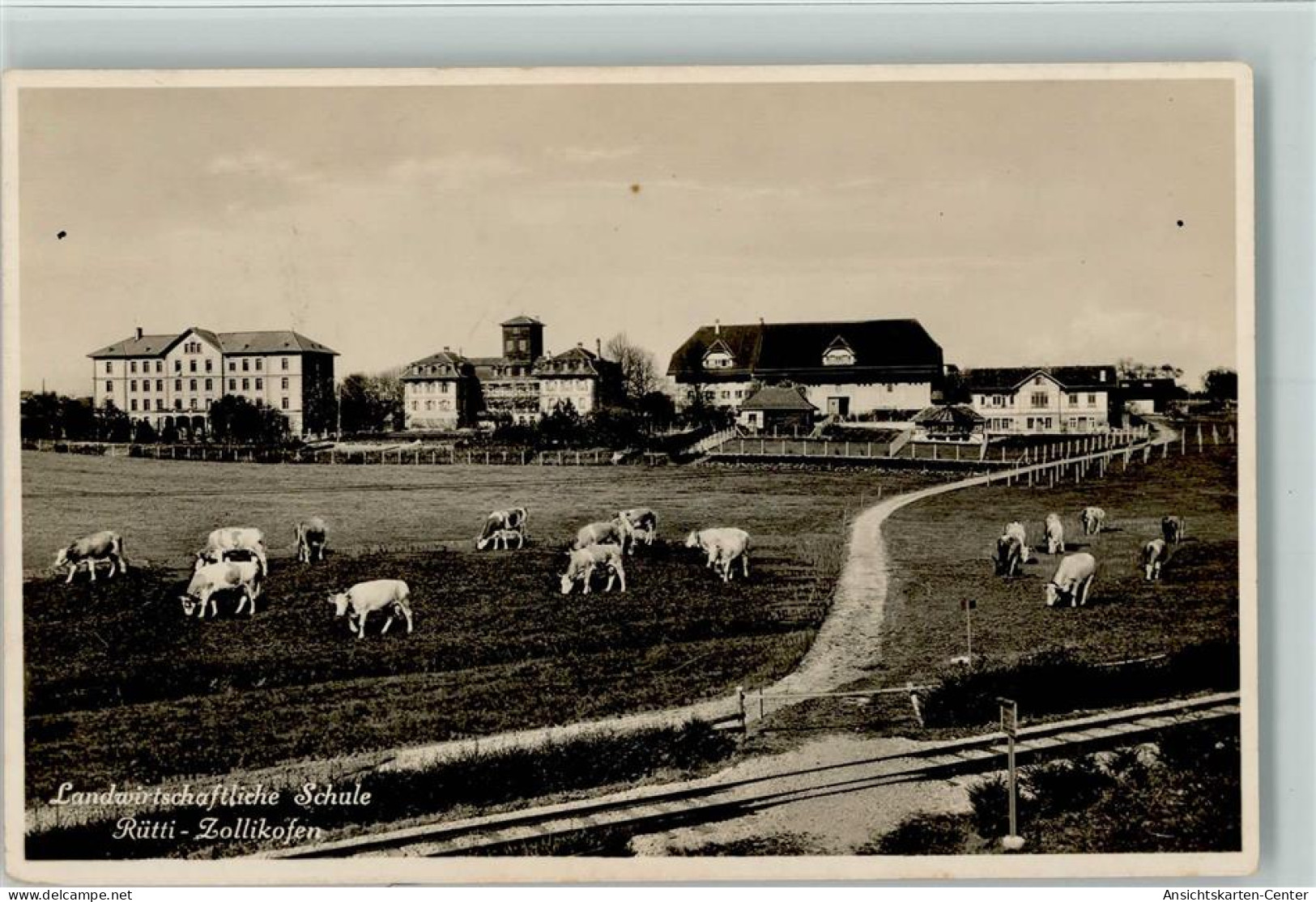 13094950 - Zollikofen