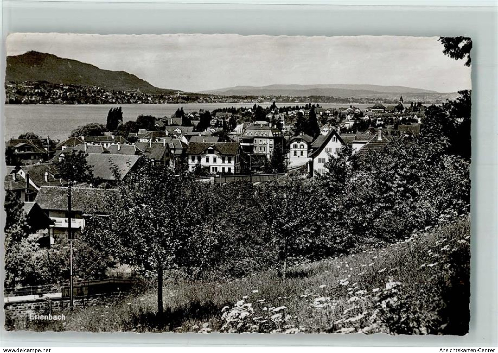 13109924 - Erlenbach ZH