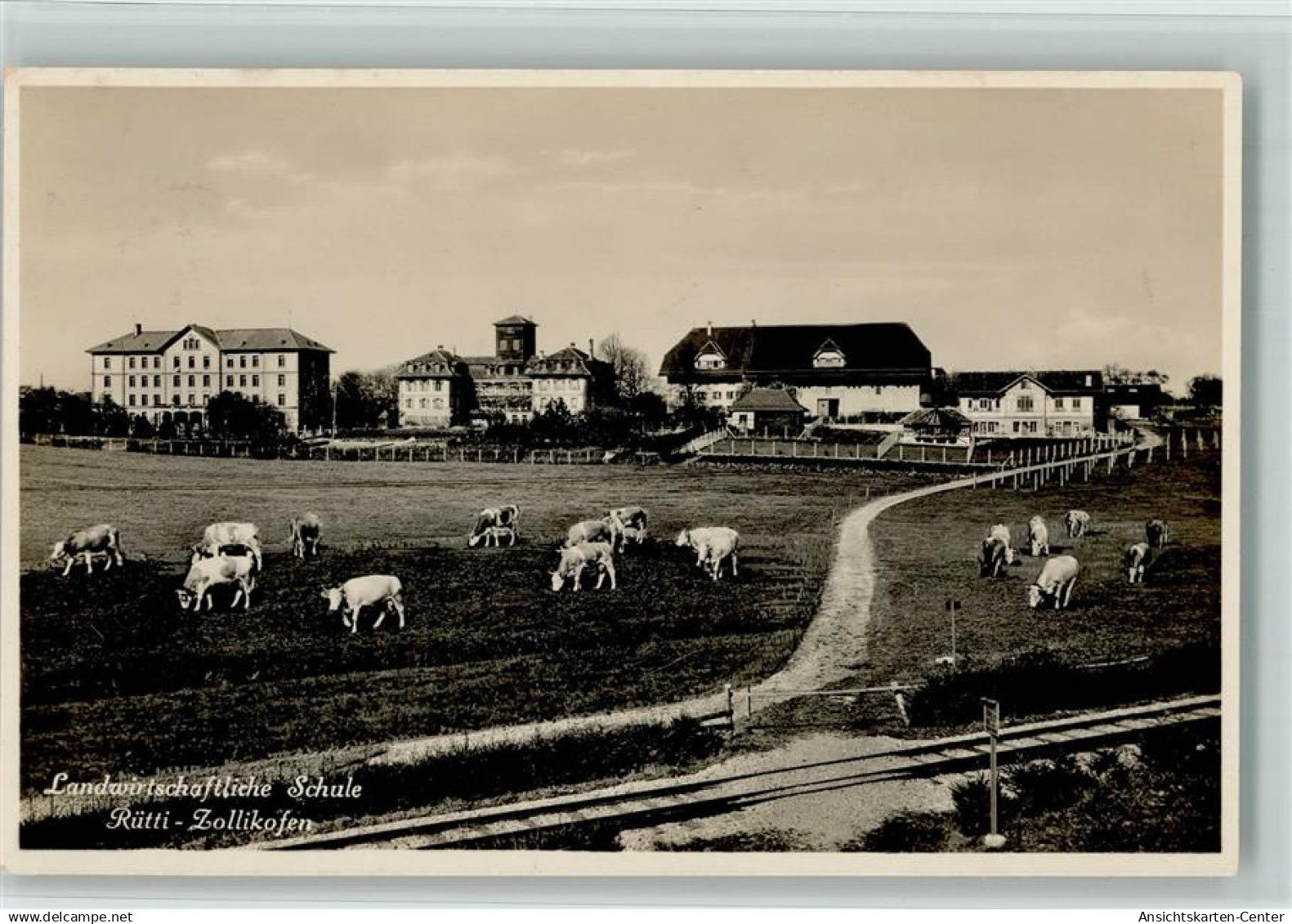 13113998 - Zollikofen