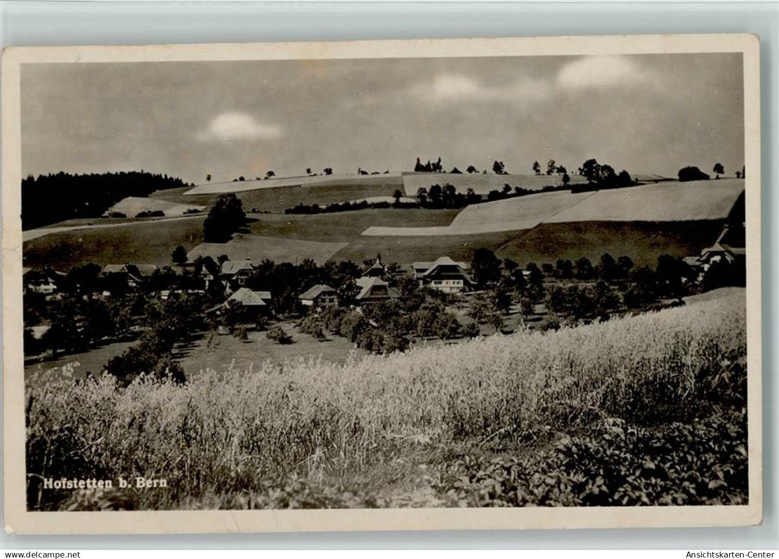 13117455 - Hofstetten b. Brienz