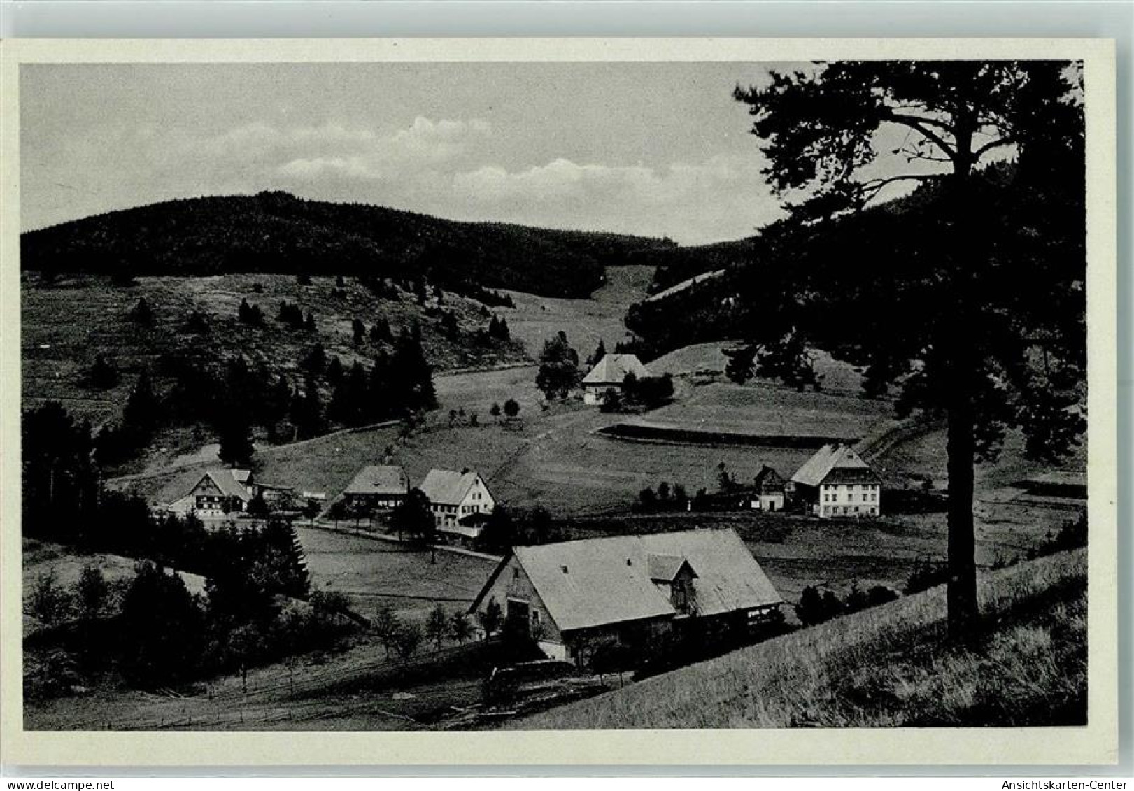 13122327 - Katzensteig Furtwangen