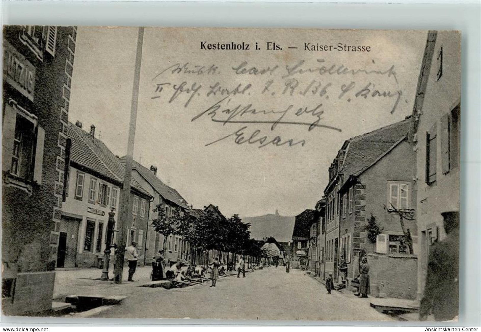 13136701 - Chatenois Kestenholz