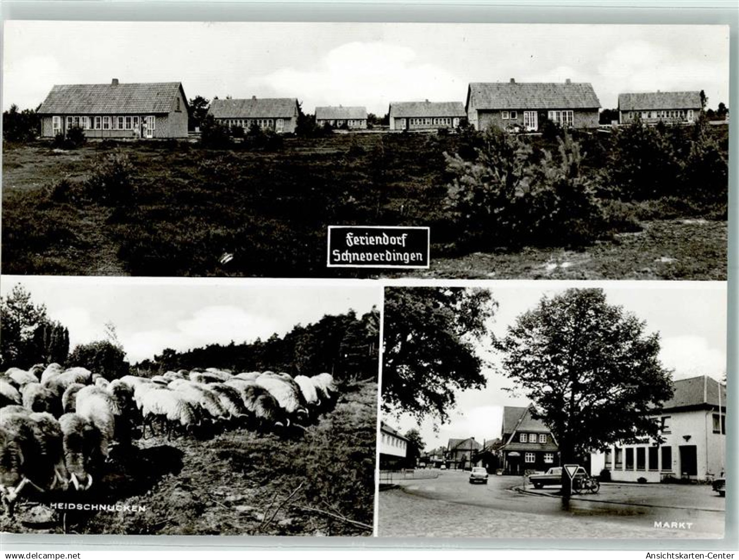 13139575 - Schneverdingen