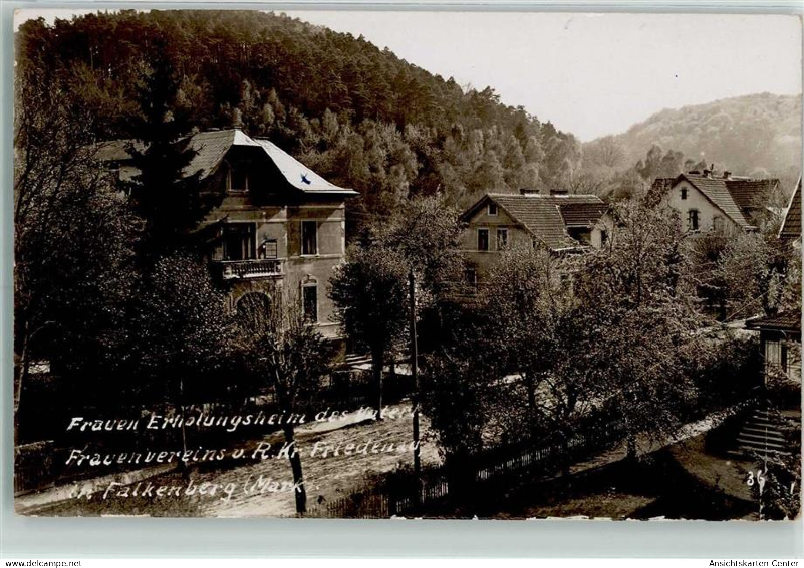 13140600 - Falkenberg , Mark