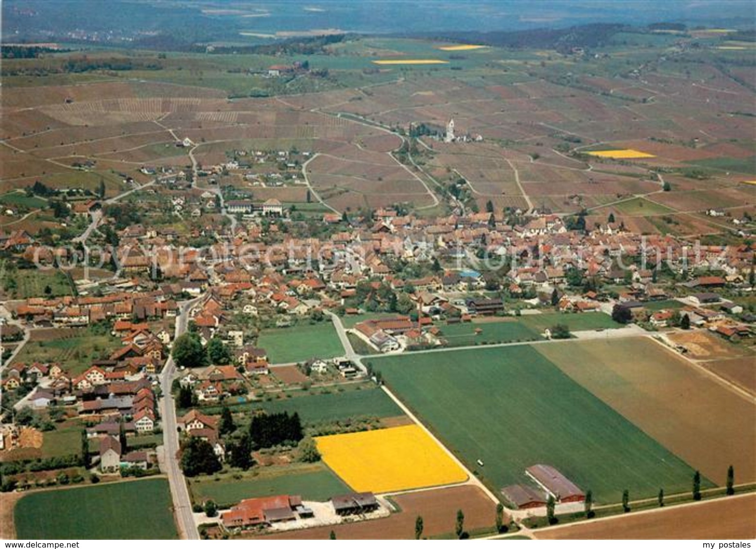 13147987 Hallau Fliegeraufnahme Hallau