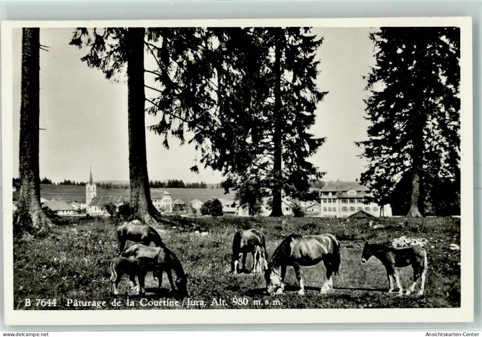 13149269 - Montfaucon