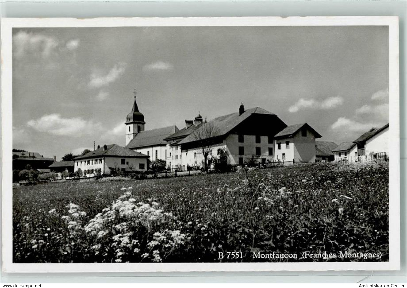 13149488 - Montfaucon