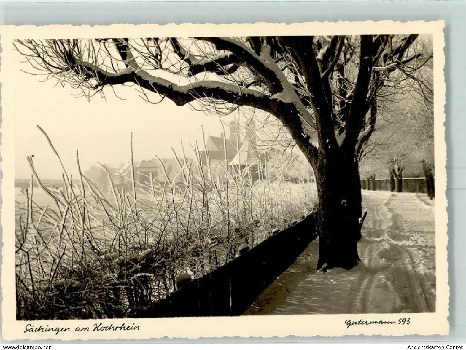 13153047 - Bad Saeckingen