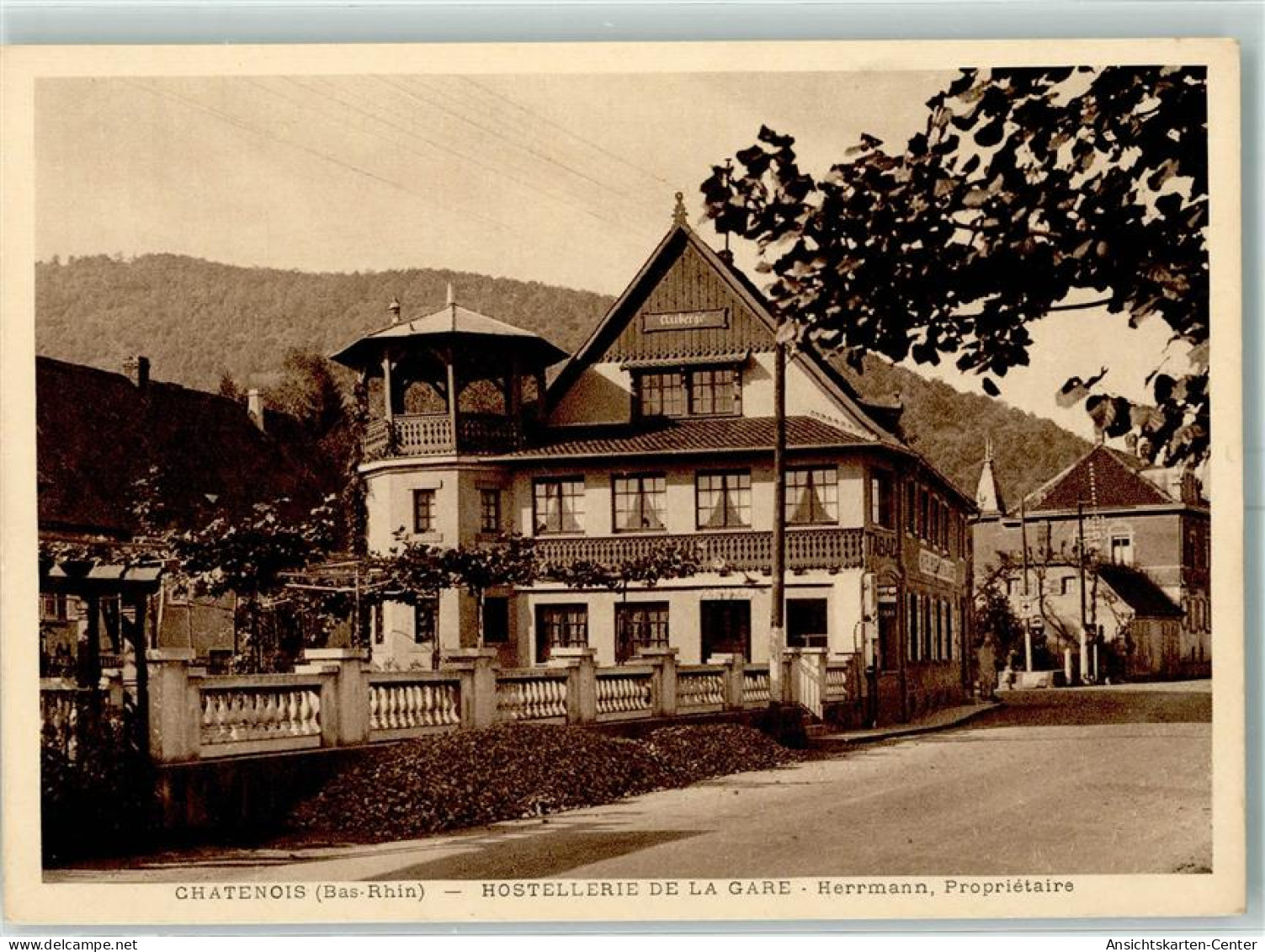 13154003 - Chatenois Kestenholz