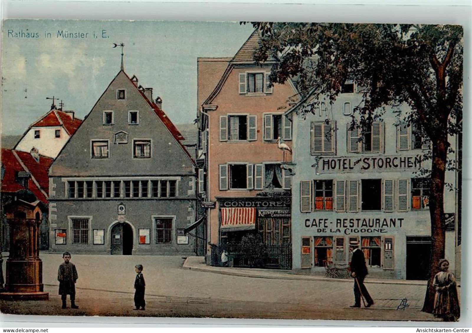 13154333 - Munster Muenster