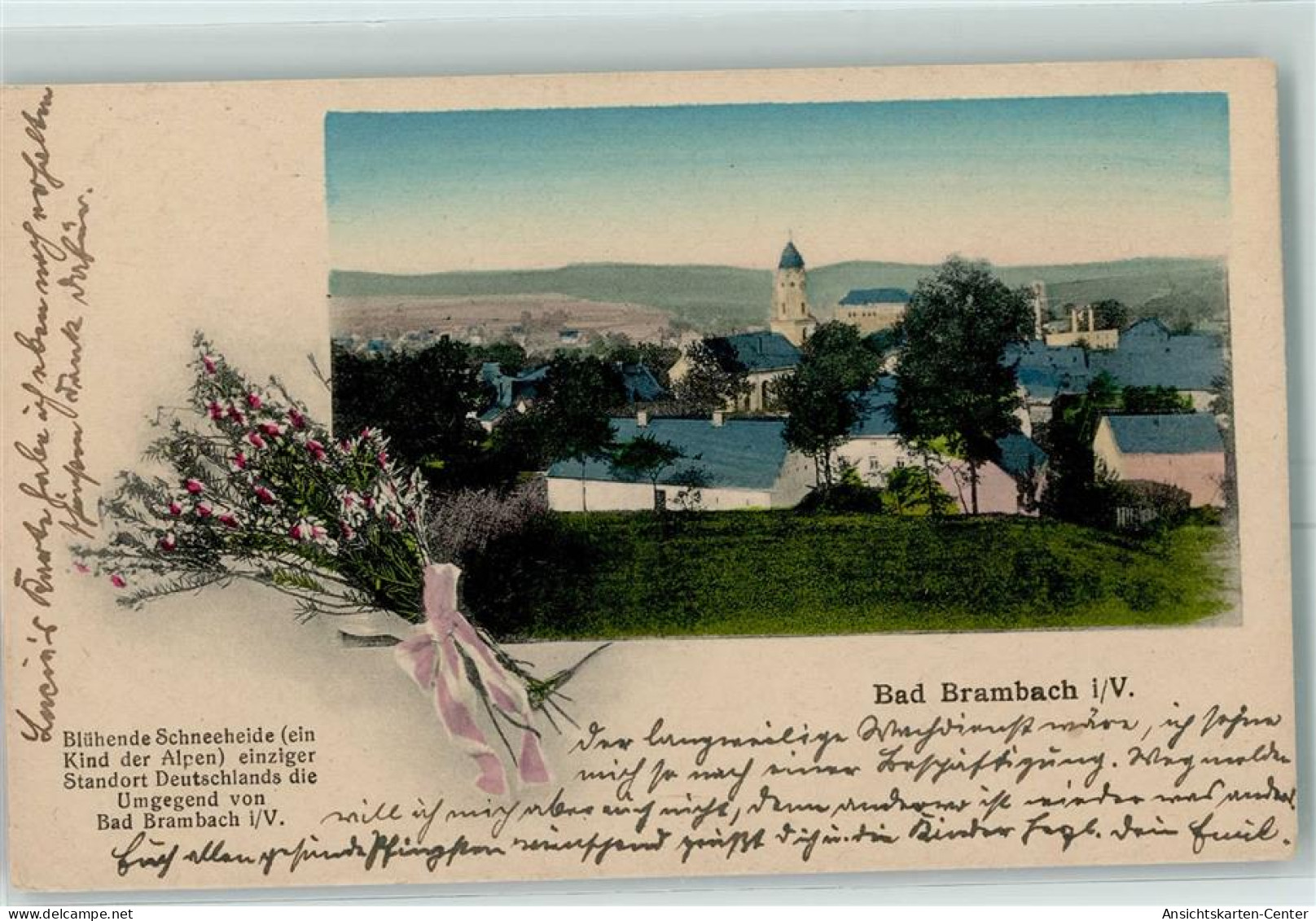 13157134 - Bad Brambach