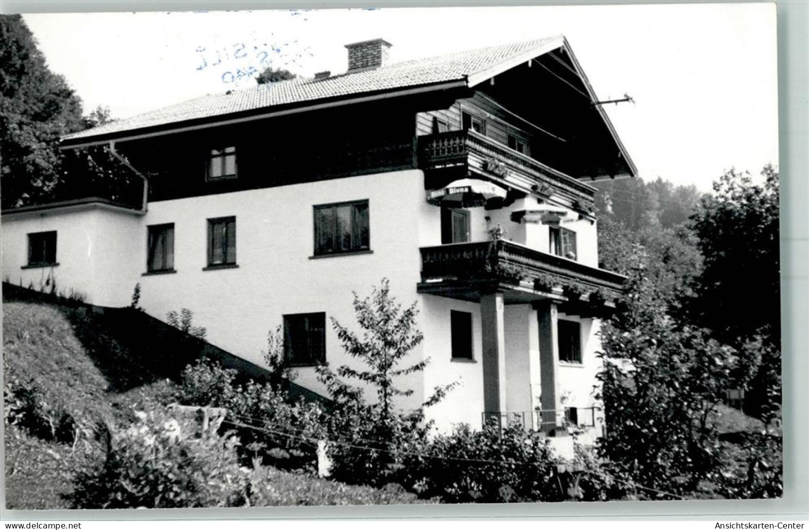 13158442 - Mittersill