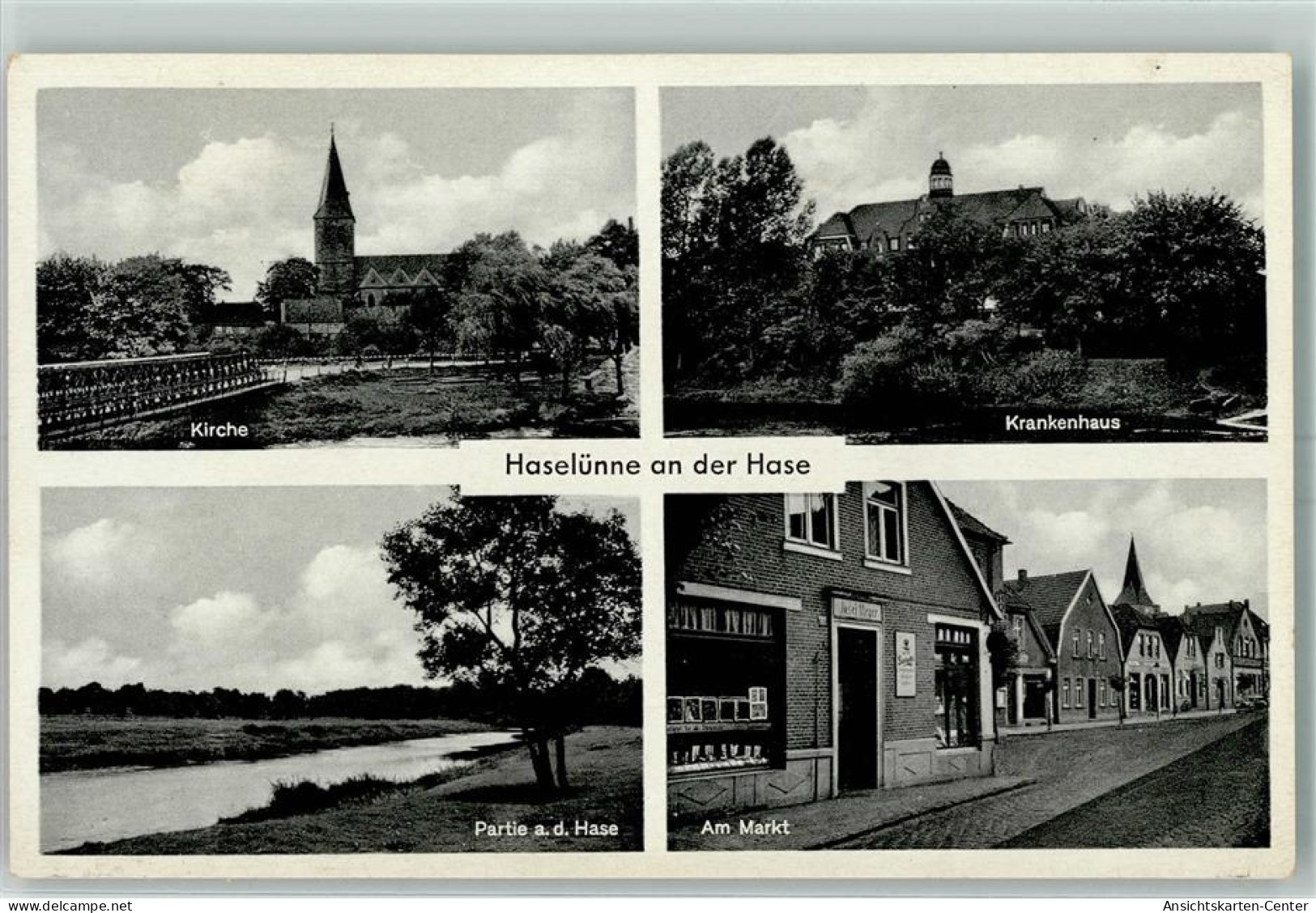 13161659 - Haseluenne