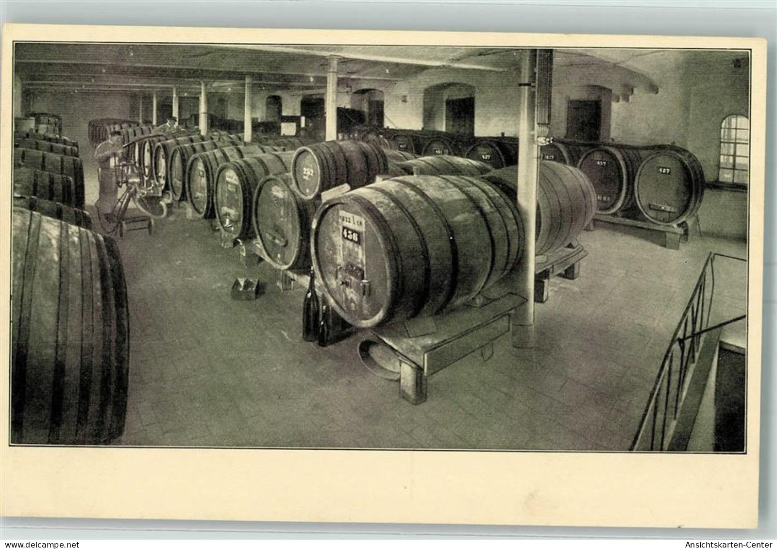 13166773 - Freyburg Unstrut