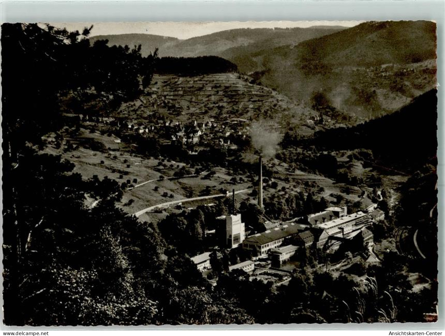 13175019 - Breitwies b Pocking