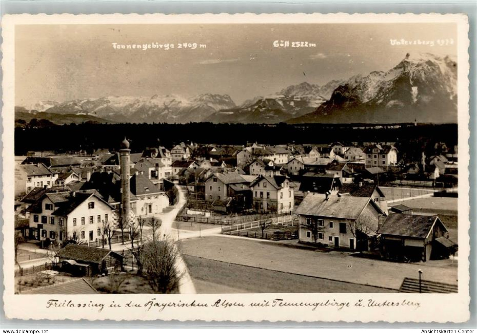 13178918 - Freilassing