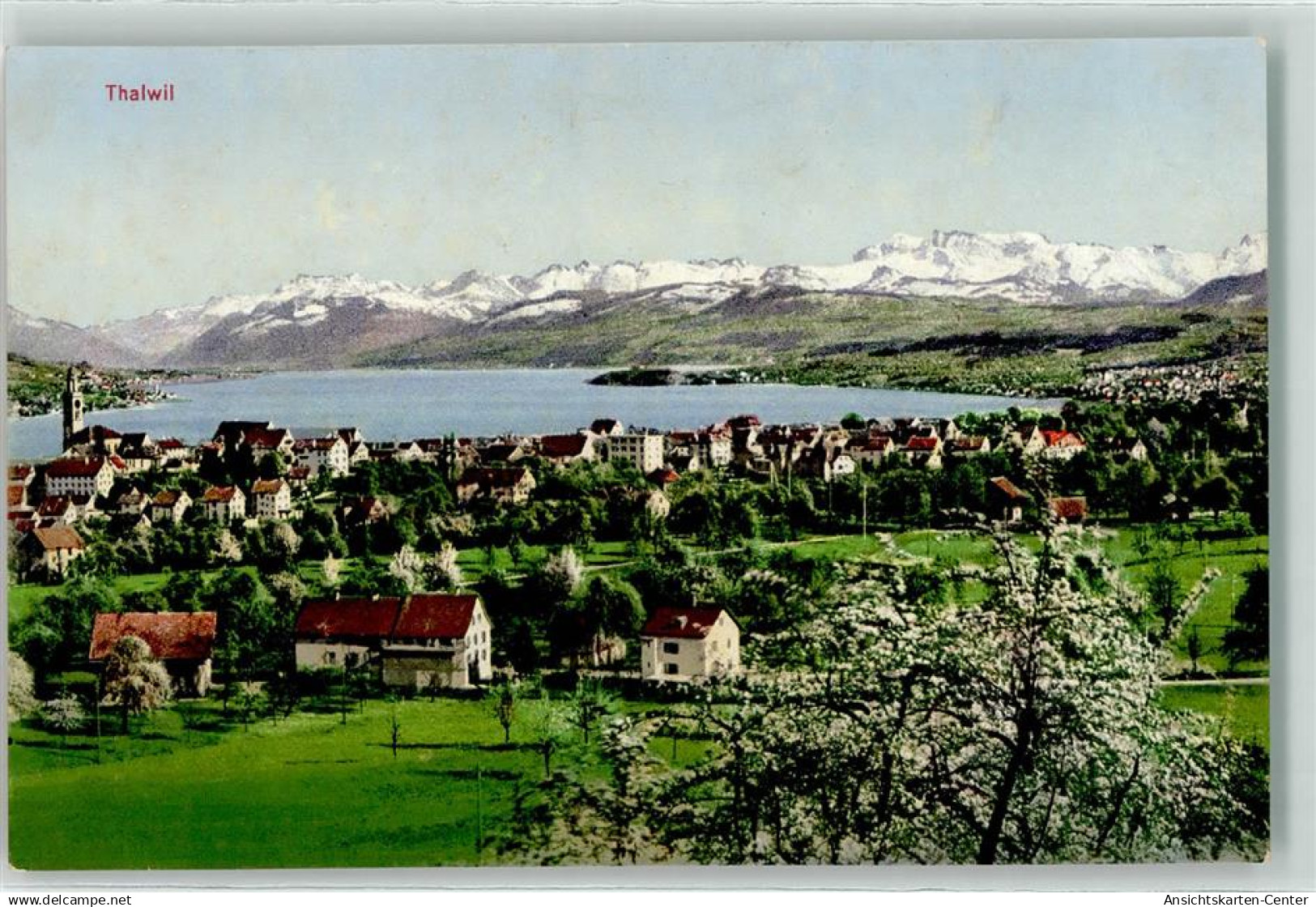 13197815 - Thalwil