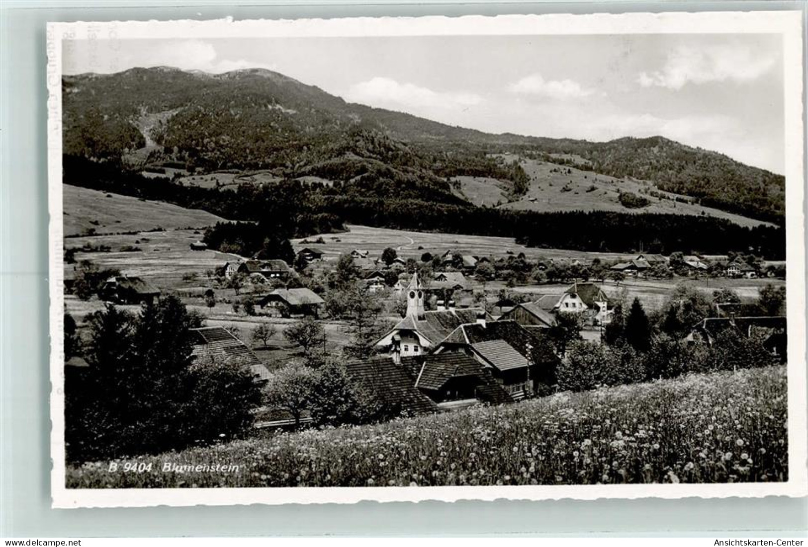 13223245 - Blumenstein