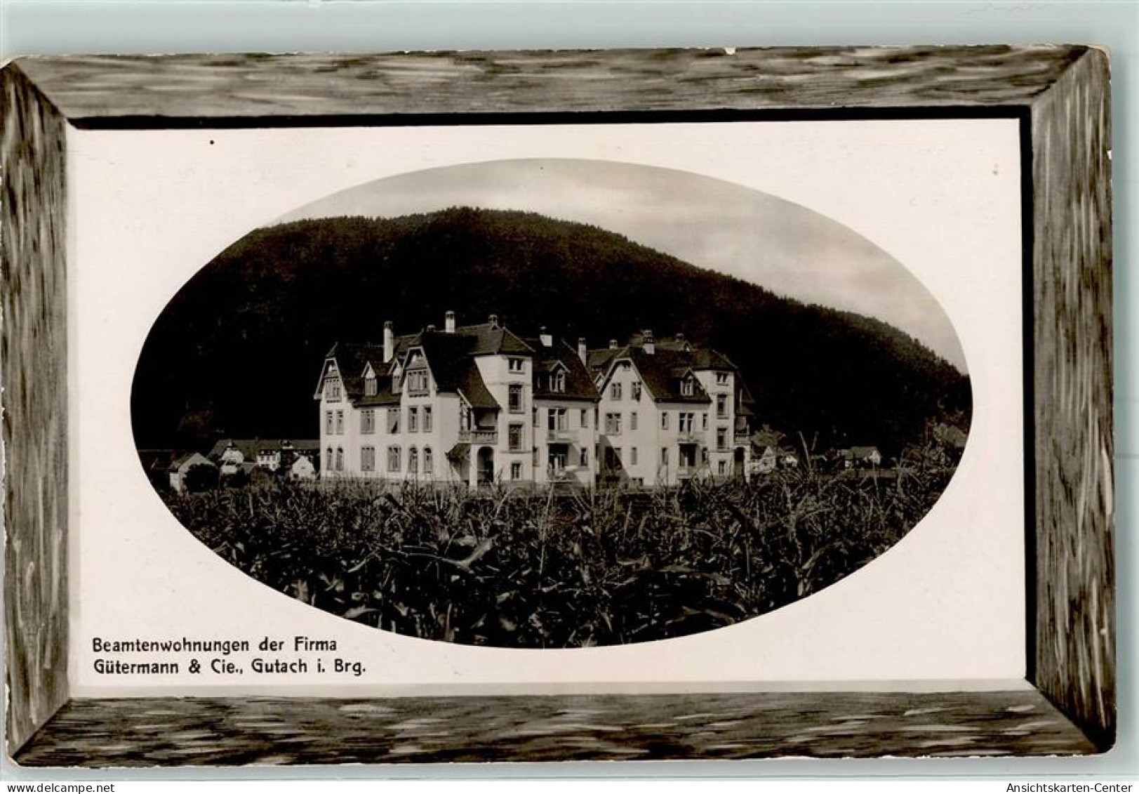 13231451 - Gutach im Breisgau