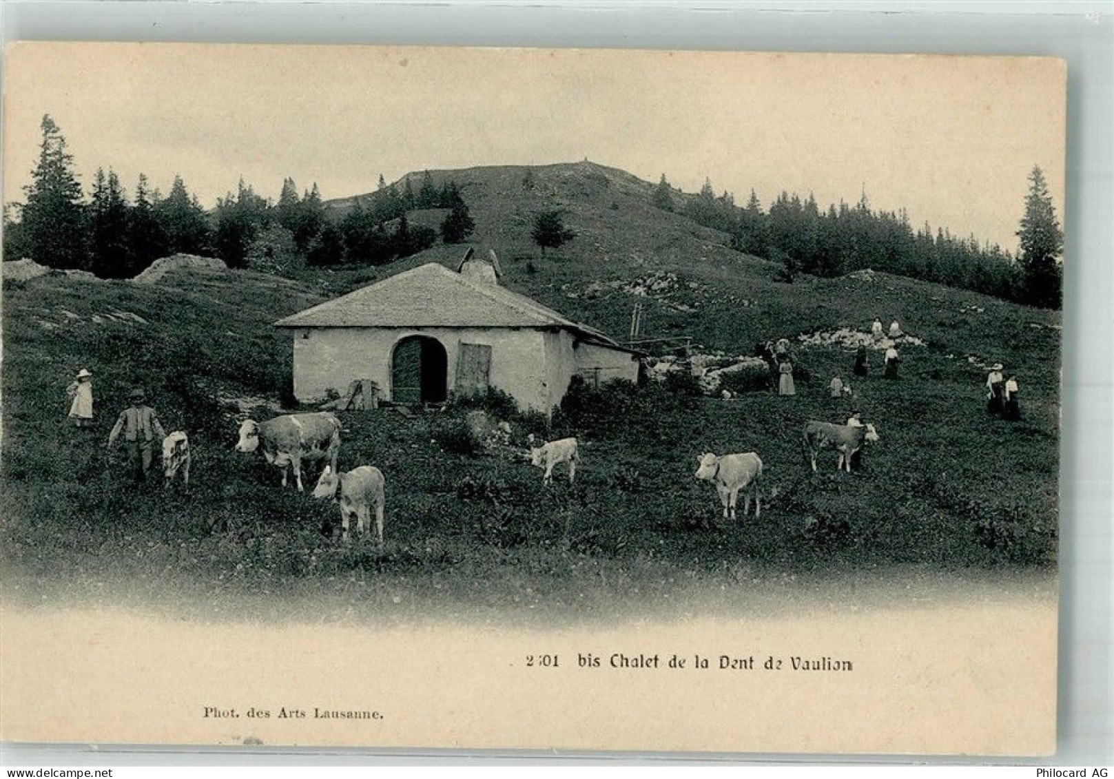 1325 Vaulion - Chalet de la Dent Vaulion Rinderherde - 38240597
