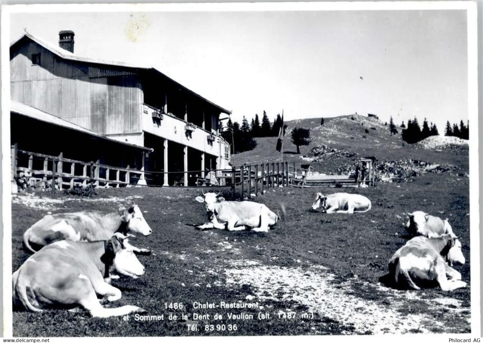 1325 Vaulion - Kuhweide, Chalet-REstaurant - 50799857
