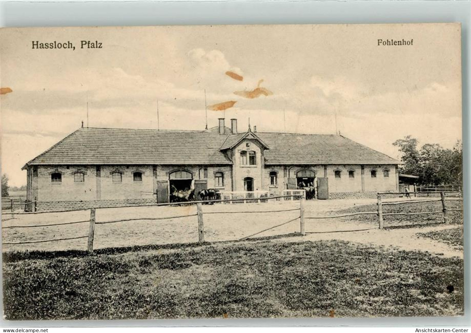 13257220 - Hassloch , Pfalz