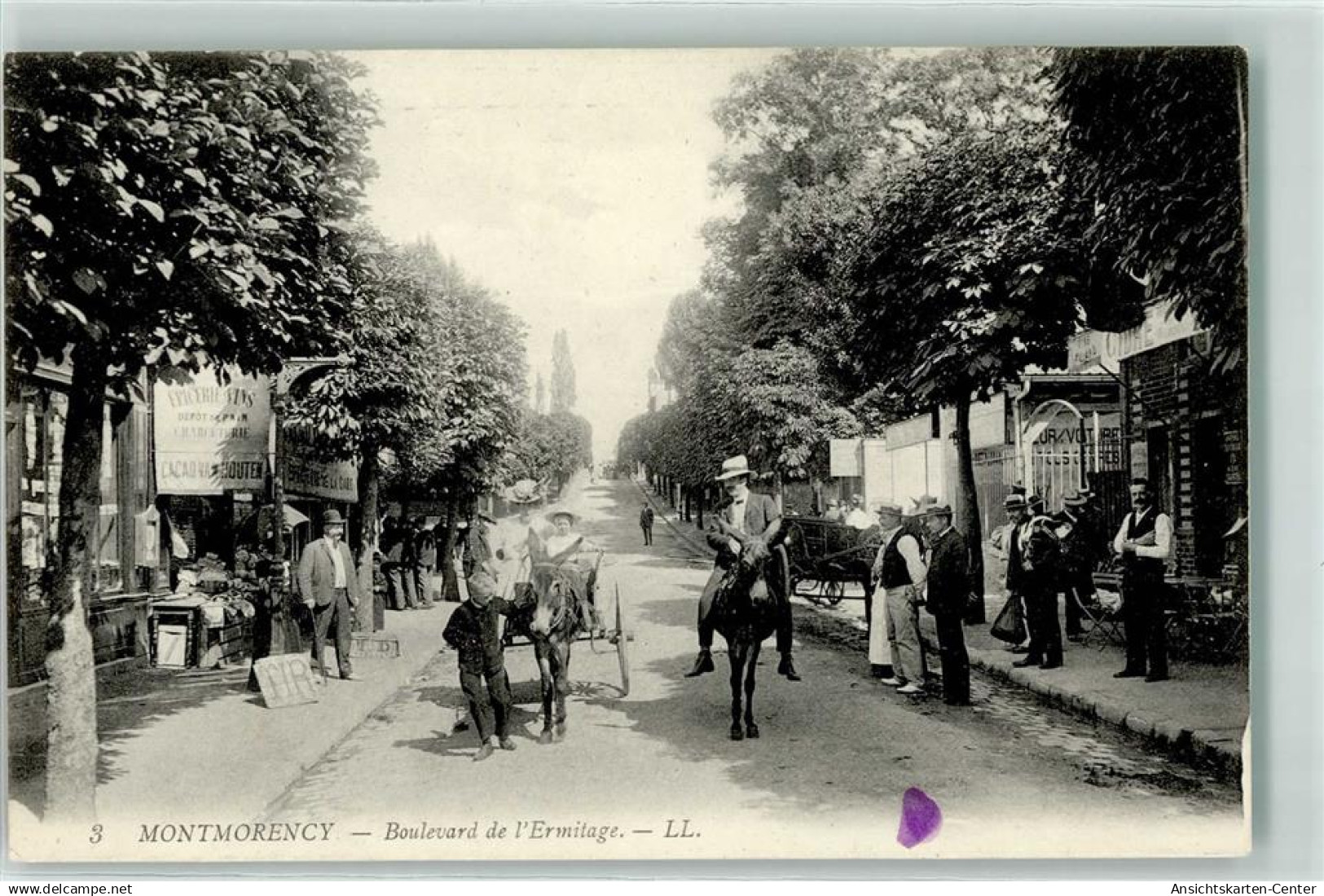 13258864 - Montmorency