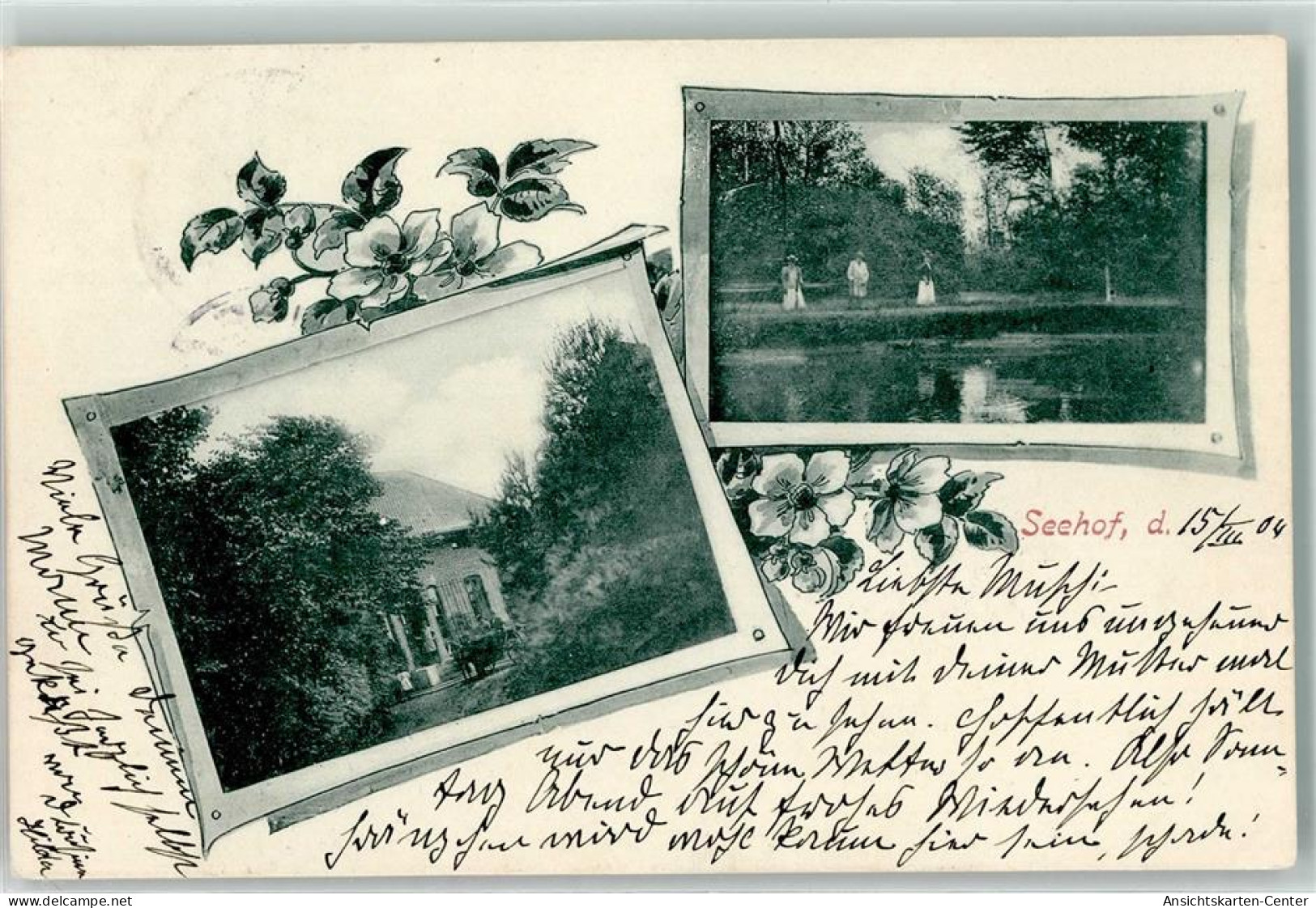 13260449 - Heide , Holst