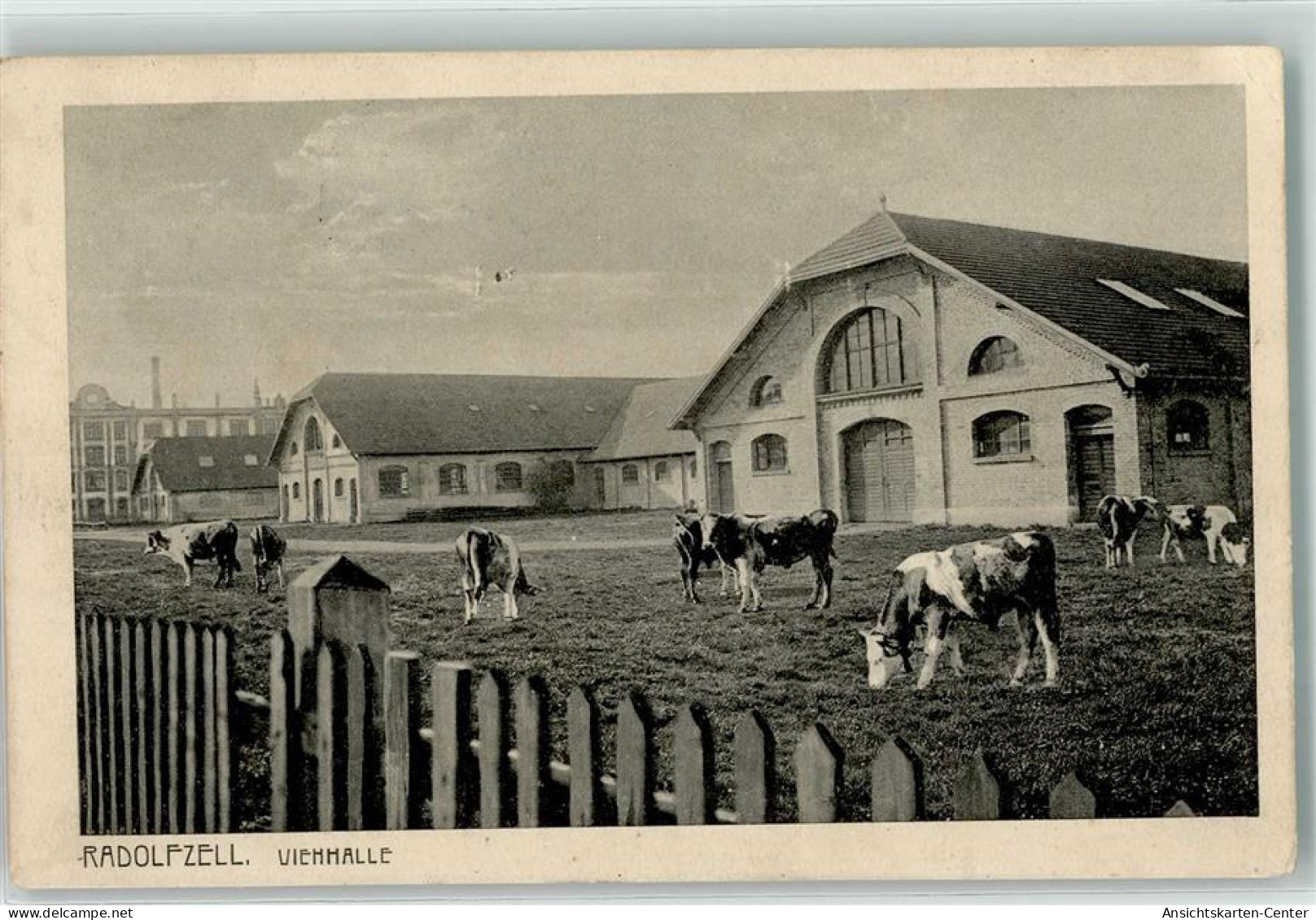 13261306 - Radolfzell am Bodensee