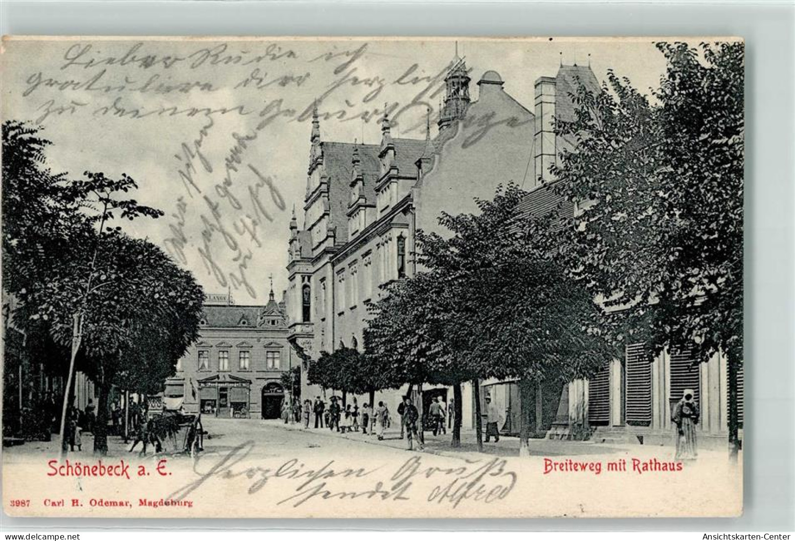 13262892 - Schoenebeck Elbe