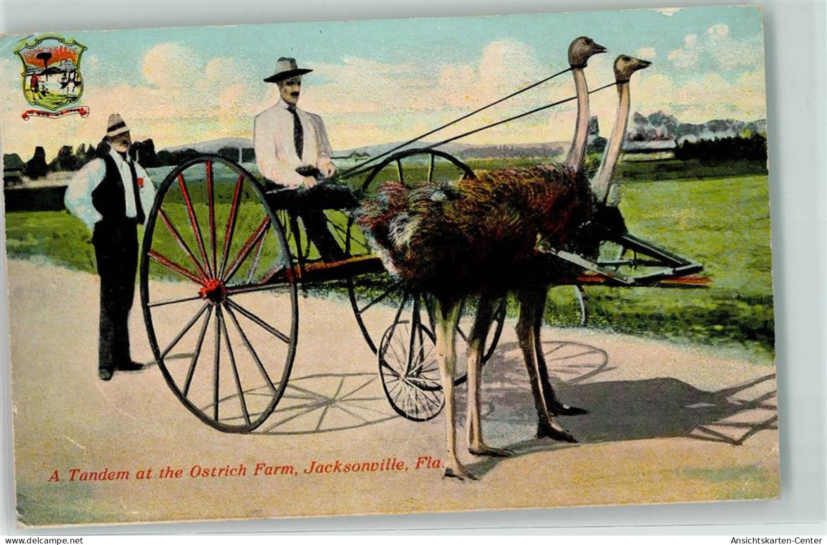 13265825 - Jacksonville