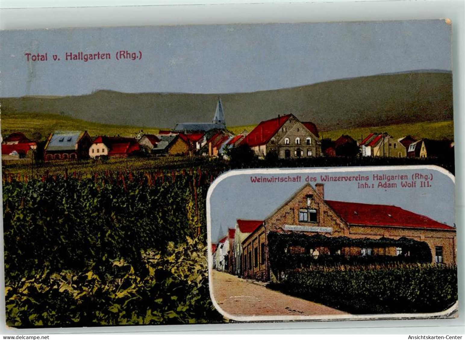 13271096 - Hallgarten , Rheingau