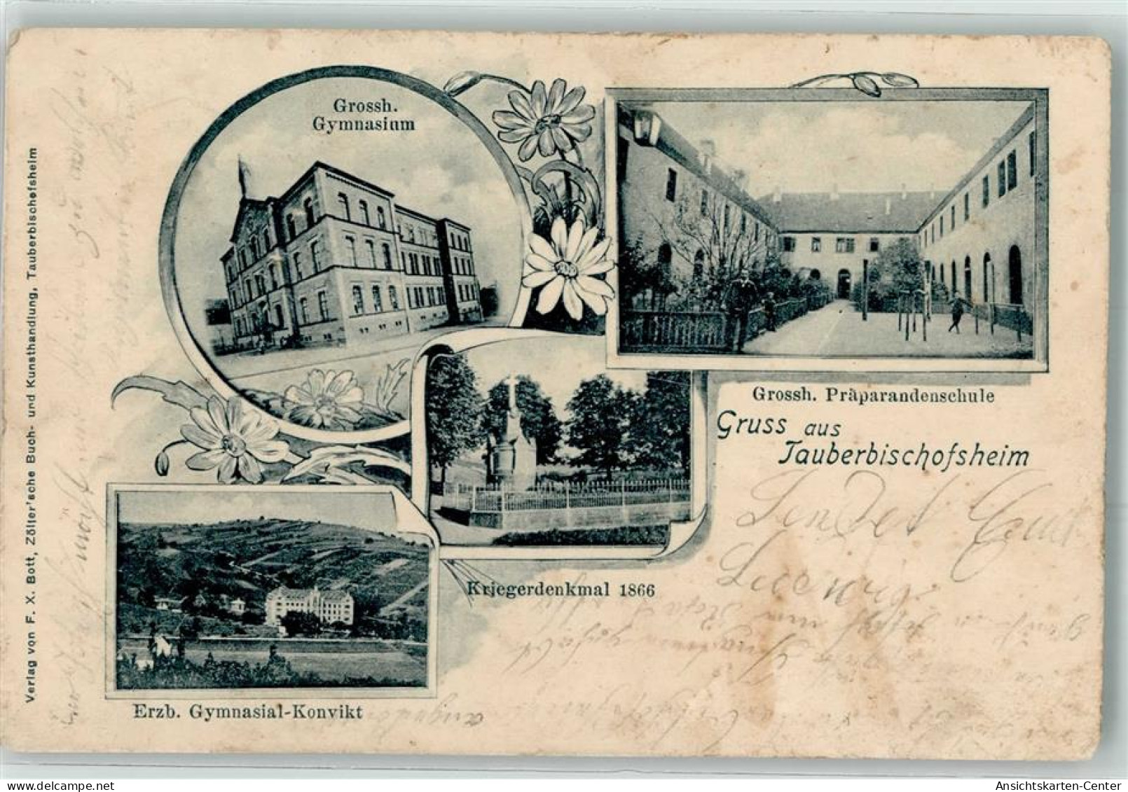 13275405 - Tauberbischofsheim