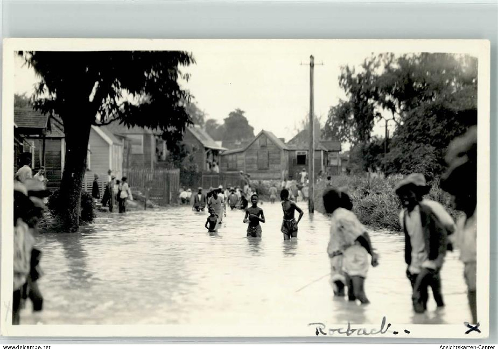 13283150 - Roebuck Ueberschwemmung