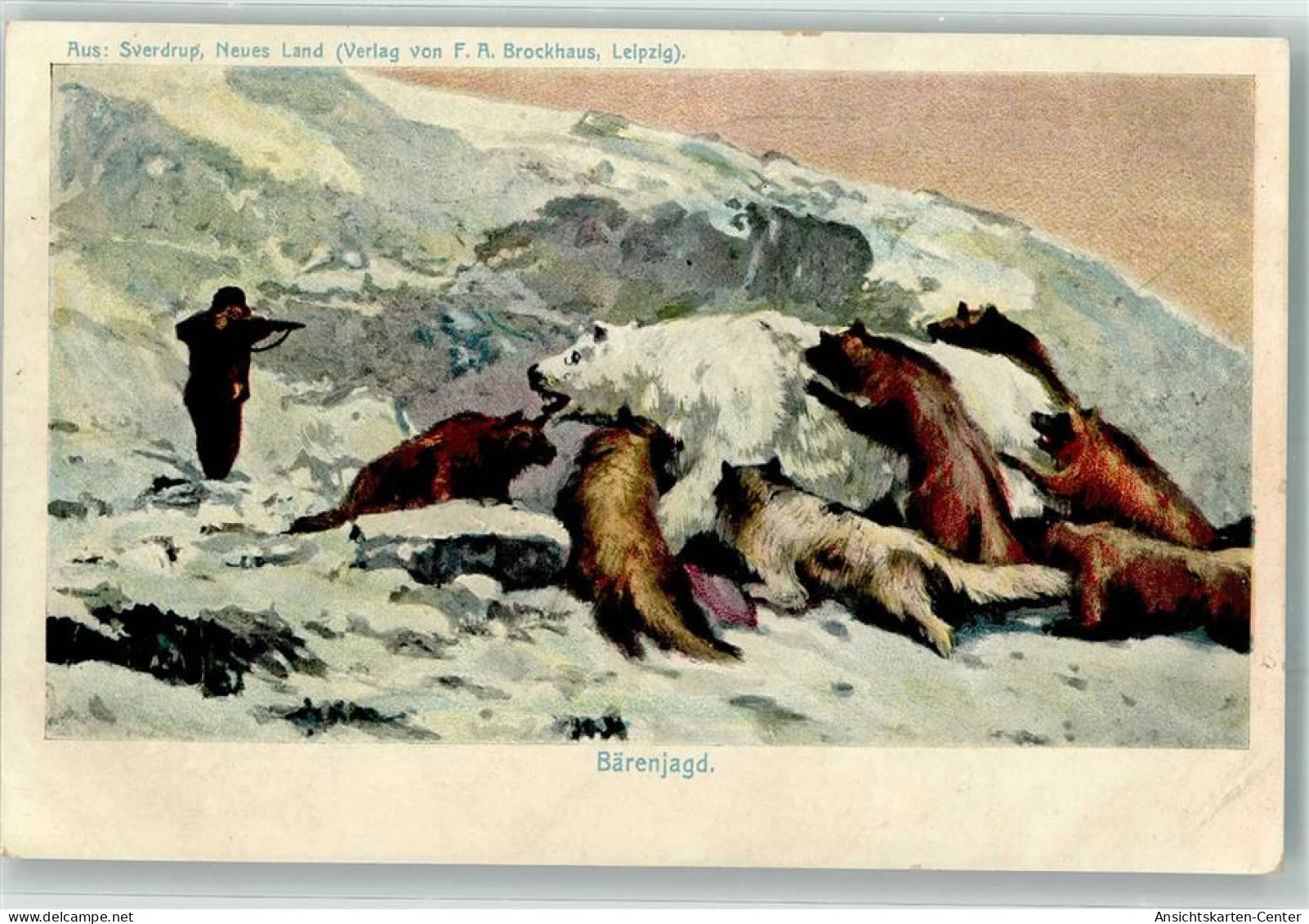 13283210 - Baerenjagd Eisbaer