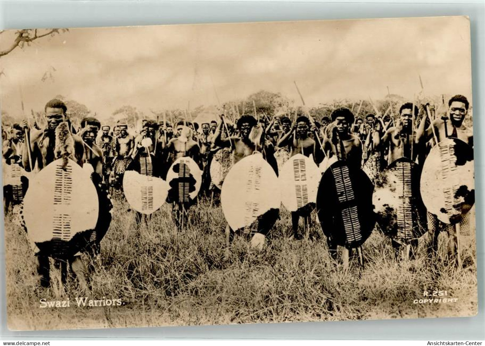 13283236 - Swazi warrior Krieger