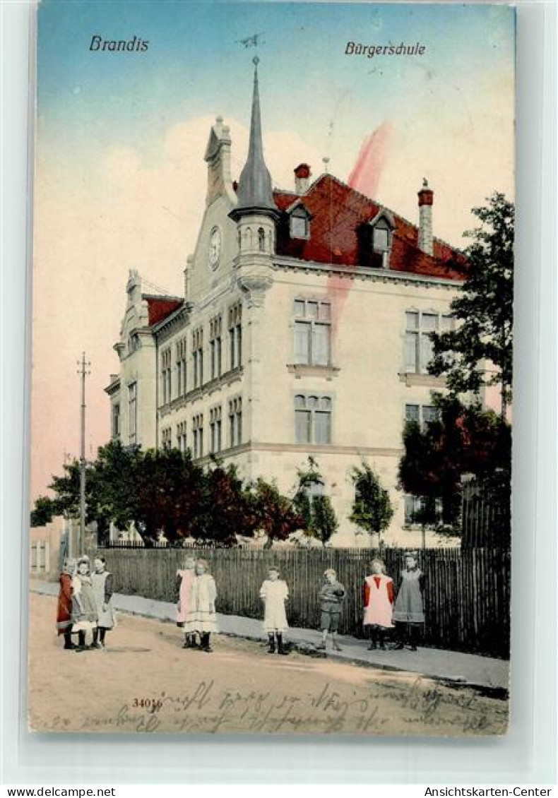 13287970 - Brandis b Wurzen