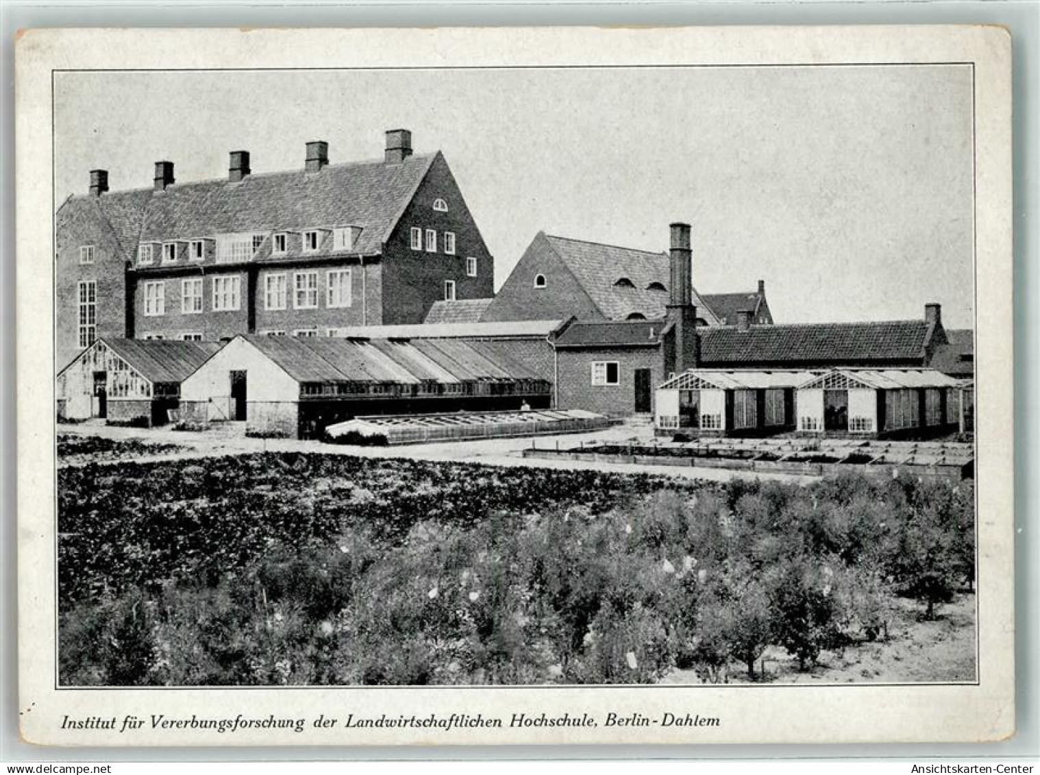 13288725 - Dahlem