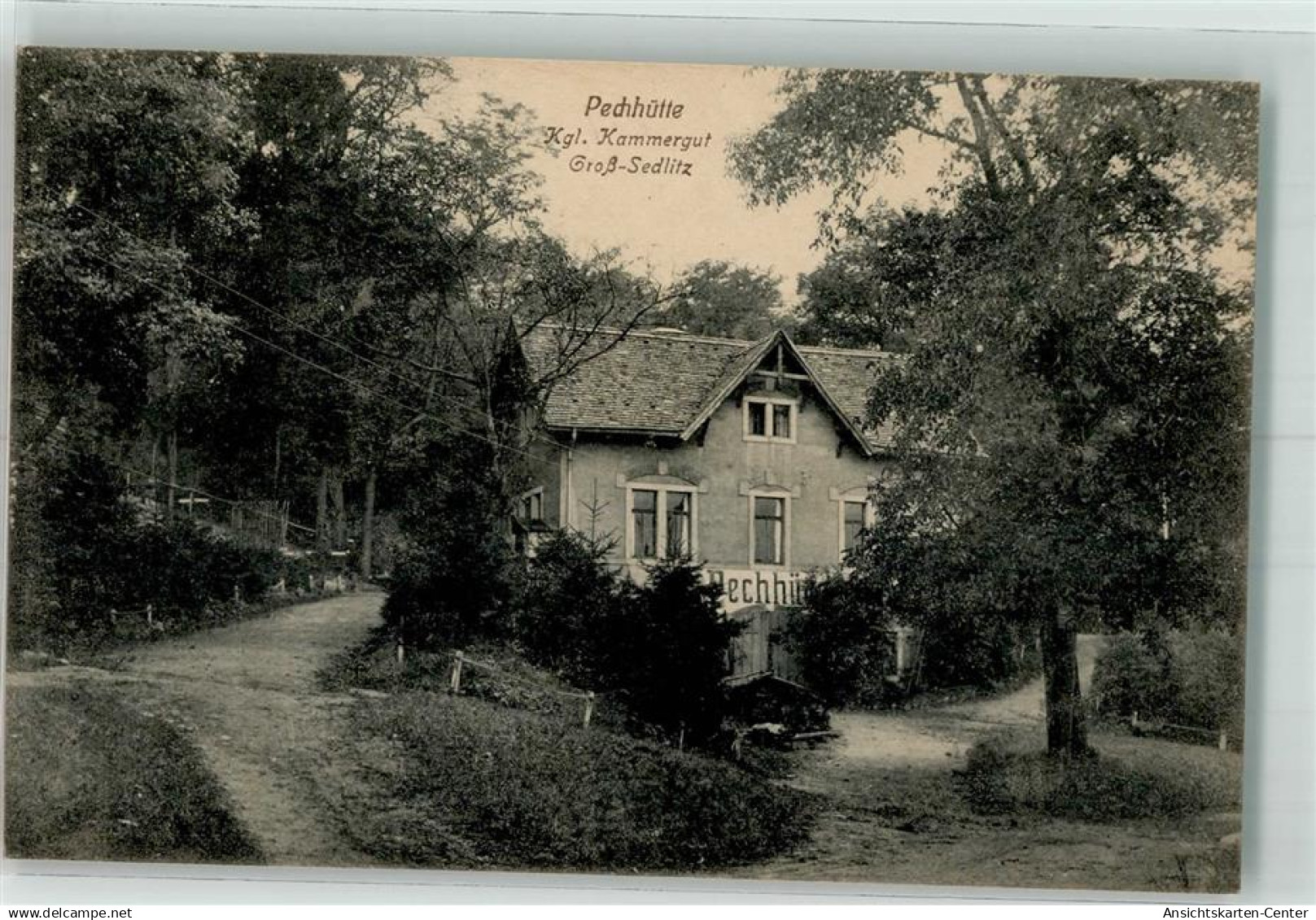 13291155 - Sedlitz