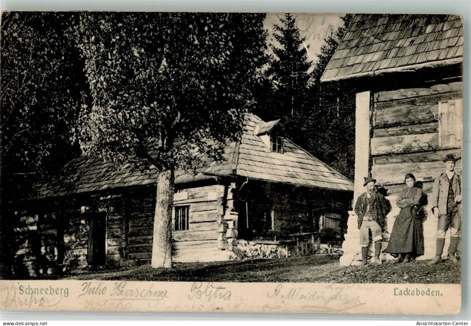 13295818 - Puchberg am Schneeberg