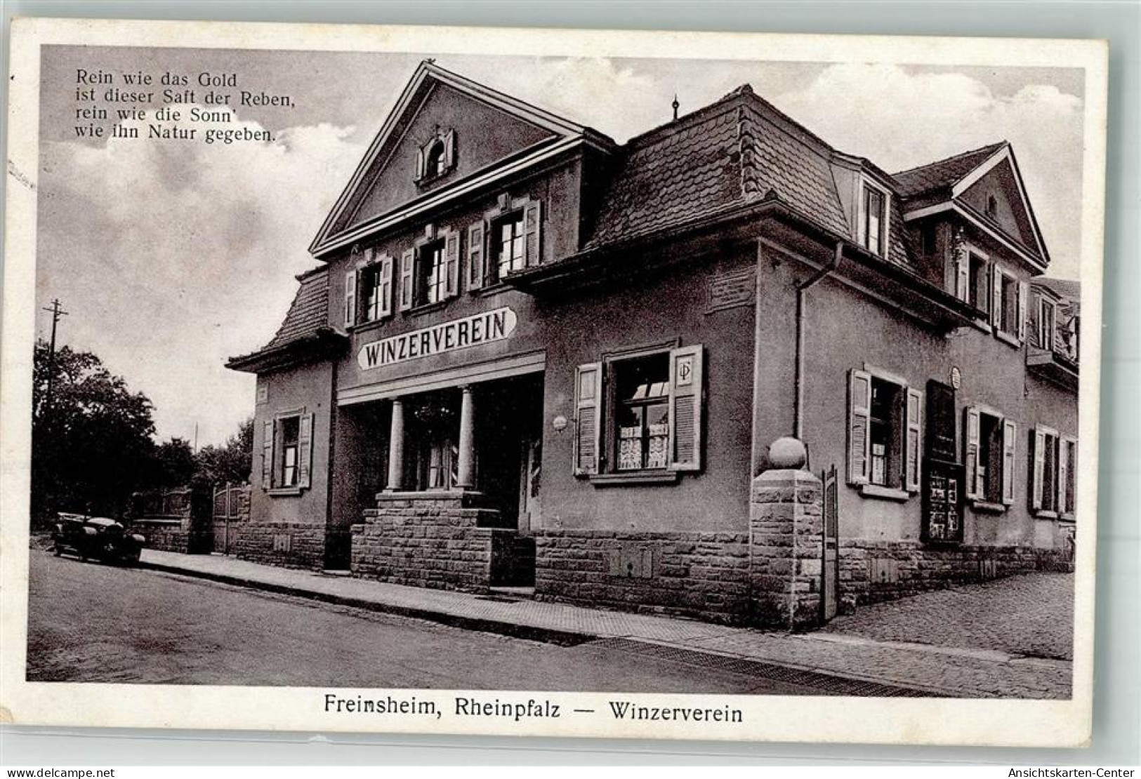 13298388 - Freinsheim