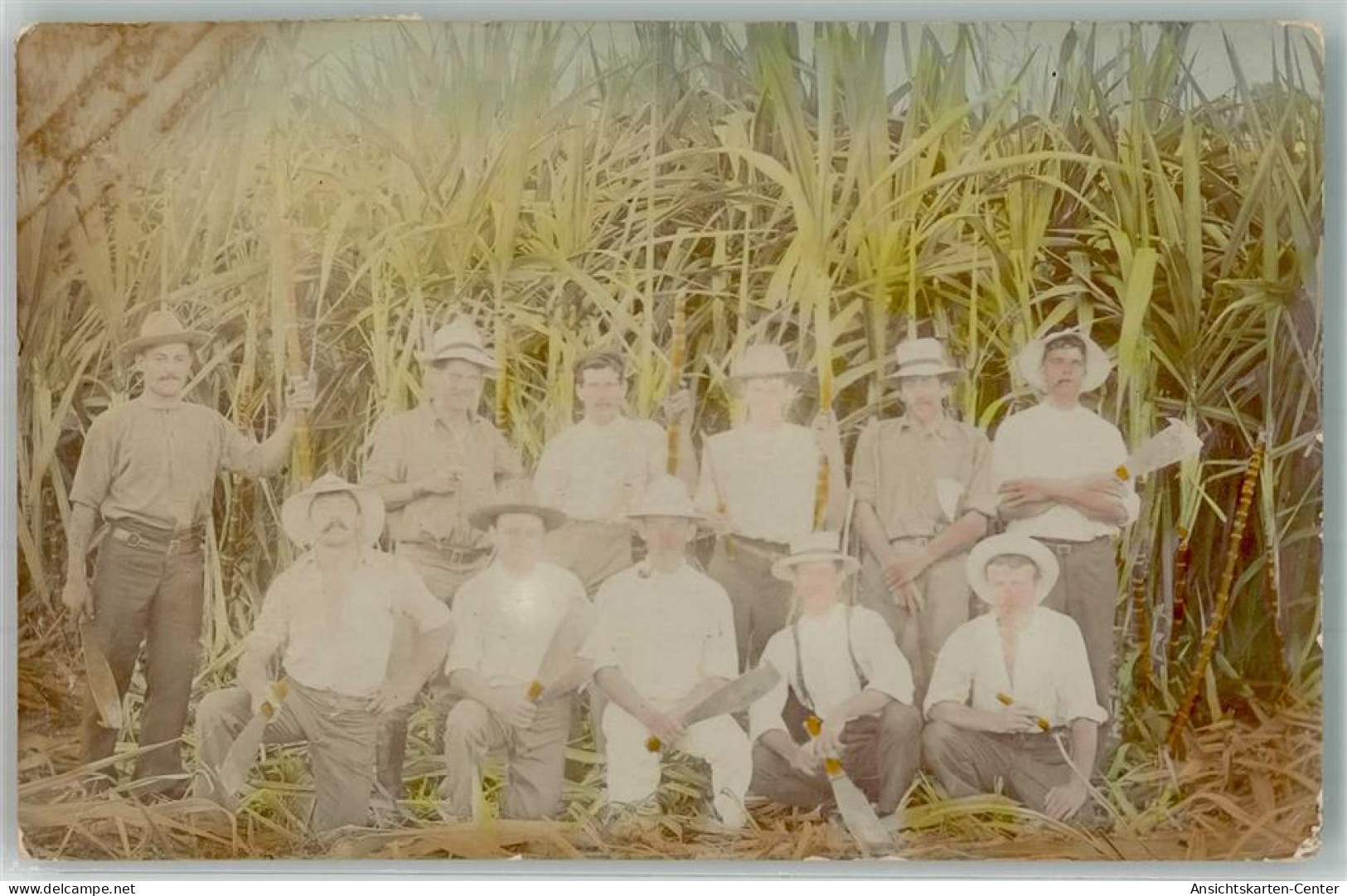 13299722 - Brisbane QLD